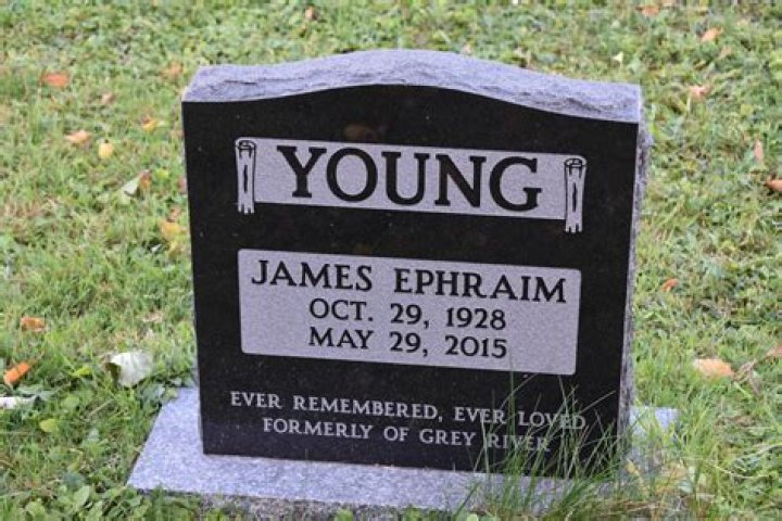 
Ephraim Young Age, Birthday, Wikipedia, Who, Nationality, Biography 