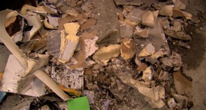 Julie Carlson Net Worth, Age, Birthday, Wikipedia, Who, Nationality, Biography