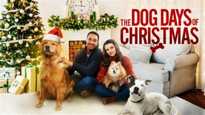 
Lifetime’s The Dog Days of Christmas Cast & Movie Review 