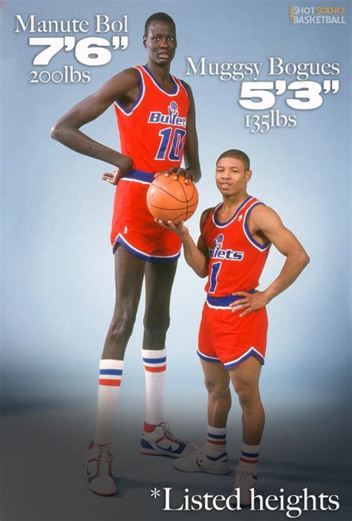 
Manute Bol Height, Weight, Net Worth, Age, Birthday, Wikipedia, Who, Nationality, Biography 