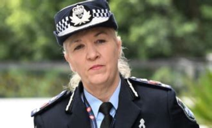 
Meet Katarina Carroll Husband Michael Carroll Relationship Timeline And Kids 