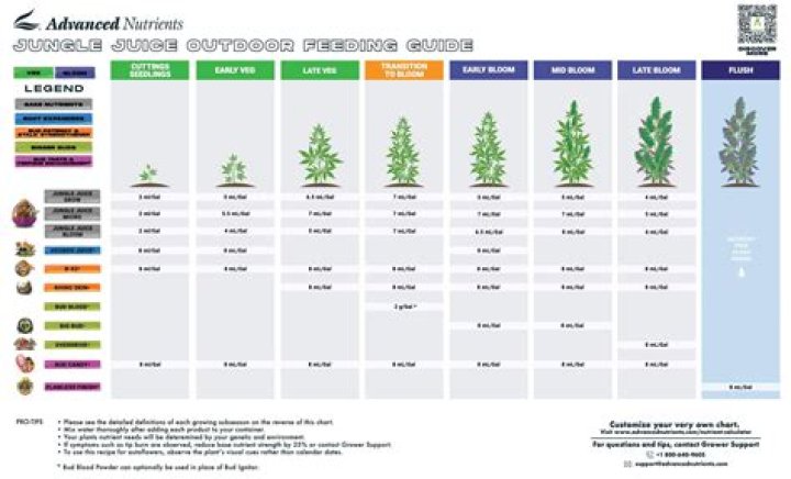 
Tekno On Quitting Marijuana 