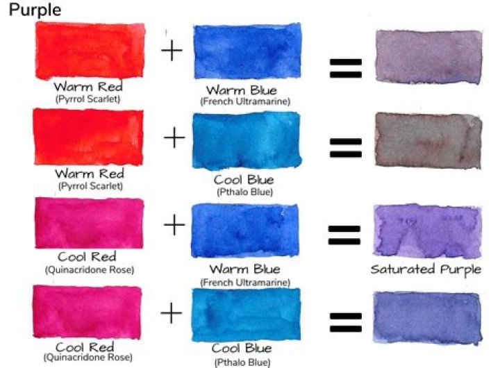 
Tv Hebdo Journalist Simon Gouache, What You Need To Know 