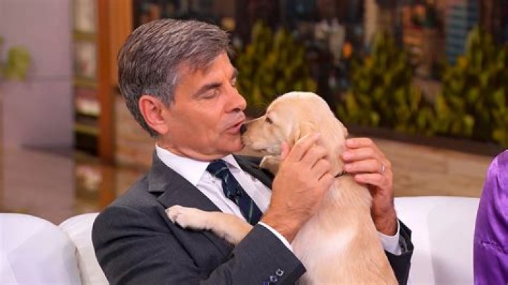 
What Illness Does Ali Wentworth Have? Here Is What You Need To Know About American Actress 