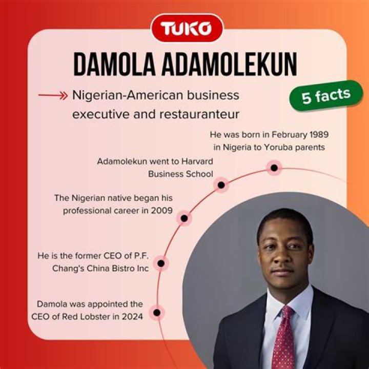
What Is The Career Earnings Of Damola Adamolekun? CEO Of PF Chang’s Married Life & Relationship Timeline Discussed 